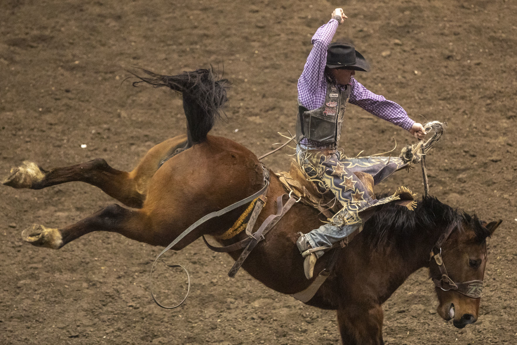 Rodeo Rapid City